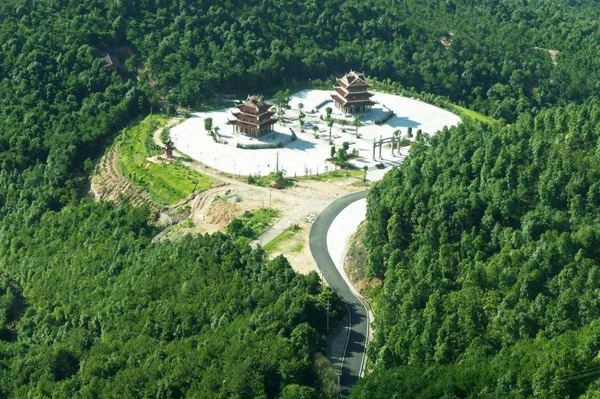 森林建设