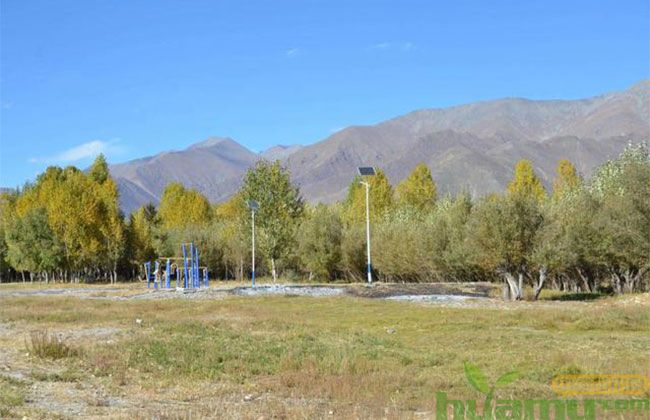 大力发展乡土树种?这些缺点先记住再说不迟! 大力发展乡土树种?这些缺点先记住再说不迟!