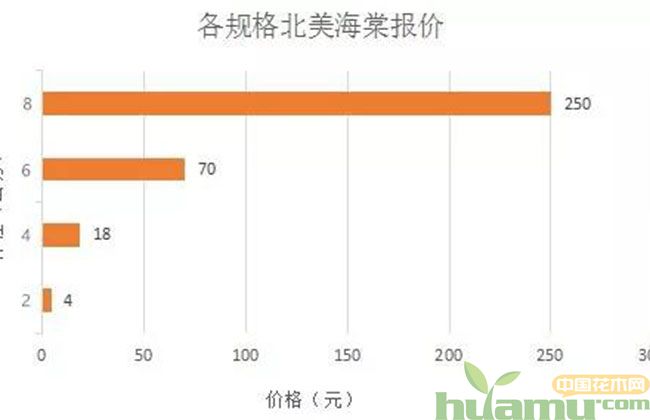 北美海棠是今年重点绿化工程的首选树种 北美海棠是今年重点绿化工程的首选树种