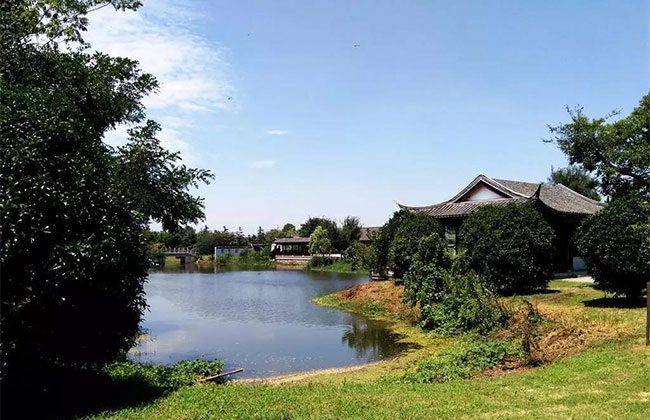 绿化示范村.jpg 绿化示范村.jpg