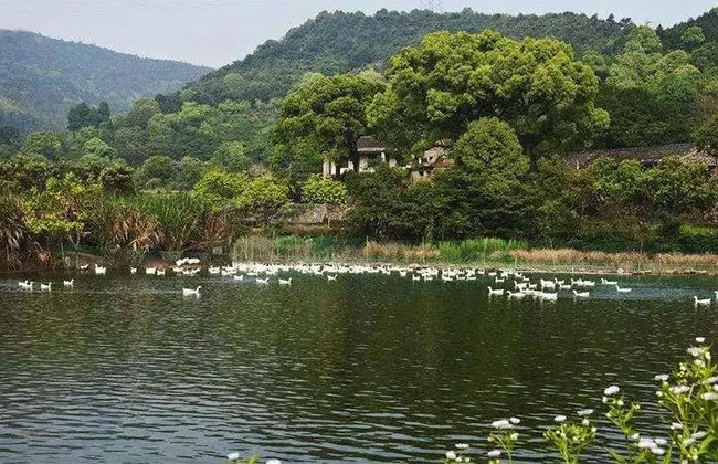 山地绿化.jpg 山地绿化.jpg