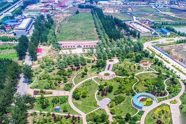 多地绿化以乡土树种为主，品种和选择标准如下！