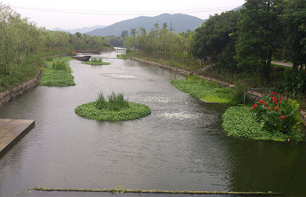 生态修复2.jpg