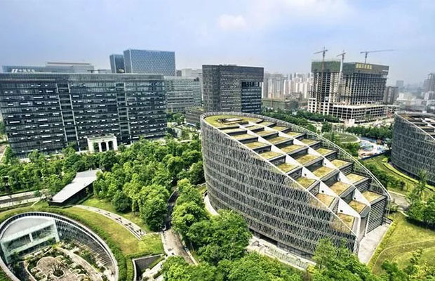 抓住机遇！高端苗木或将成为市场主角