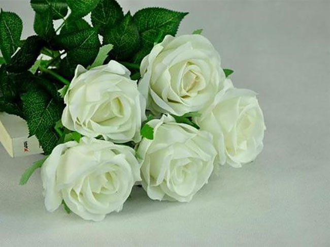 21朵白玫瑰的花语是什么?21朵白玫瑰的寓意和象征
