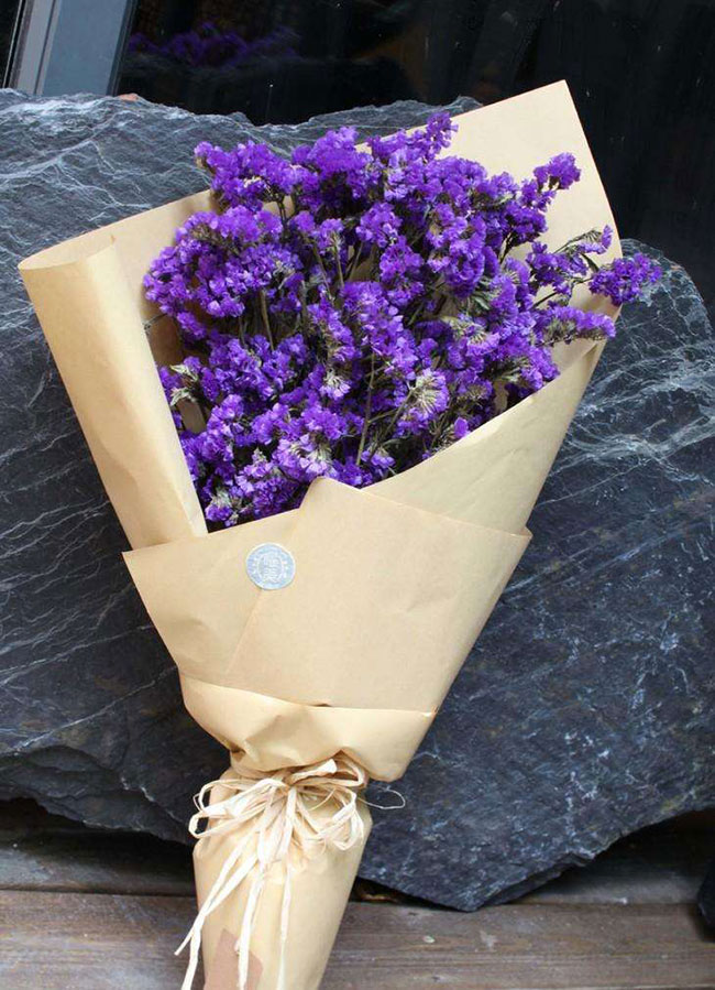 情人草的花语是什么?情人草的寓意和象征