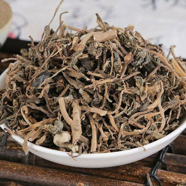 马齿苋多少钱一棵?2020年马齿苋价格最新行情预测