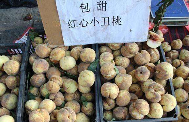 丑桃