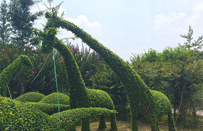 植物编艺作品（温江区寿安镇-供图）.jpg