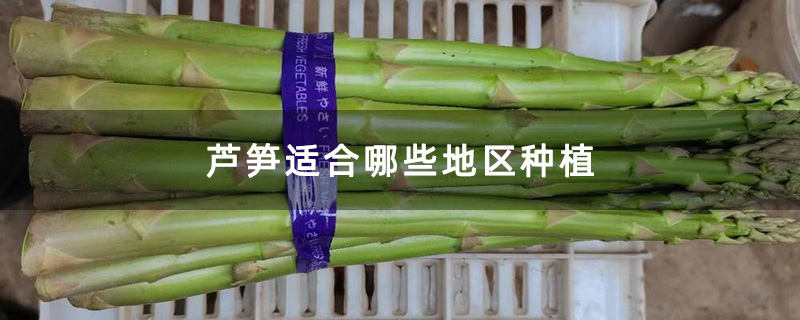 芦笋适合哪些地区种植
