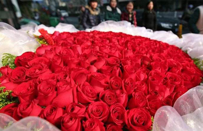 12朵玫瑰的花语是什么?12朵玫瑰的寓意和象征