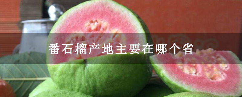 番石榴产地主要在哪个省