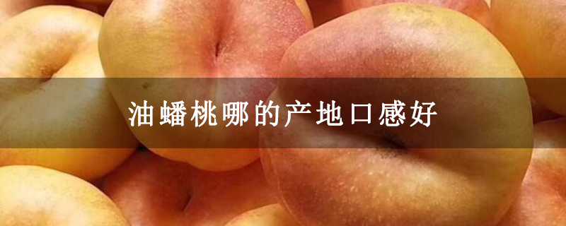 油蟠桃哪的产地口感好