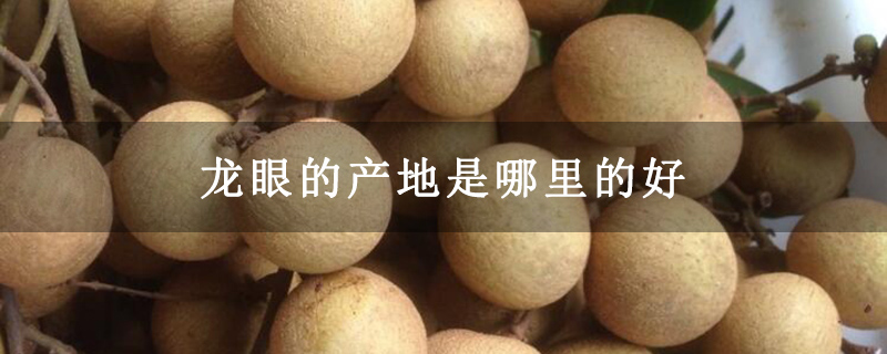 龙眼的产地是哪里的好