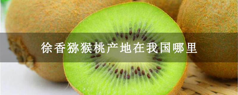 徐香猕猴桃产地在我国哪里