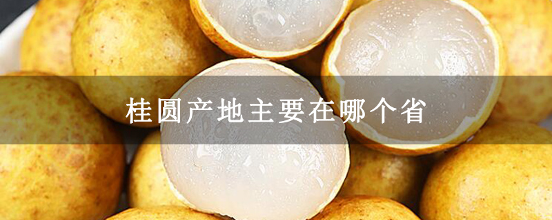 桂圆产地主要在哪个省