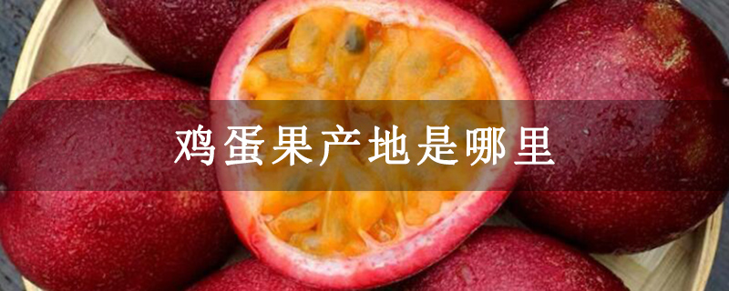 鸡蛋果产地是哪里
