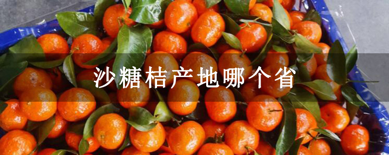沙糖桔产地哪个省