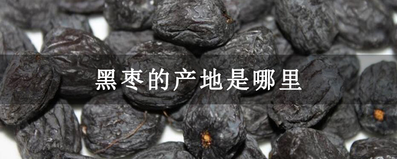 黑枣的产地是哪里