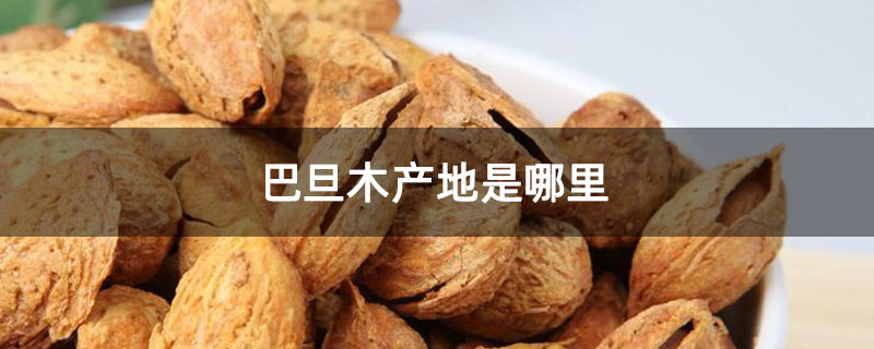 巴旦木产地是哪里