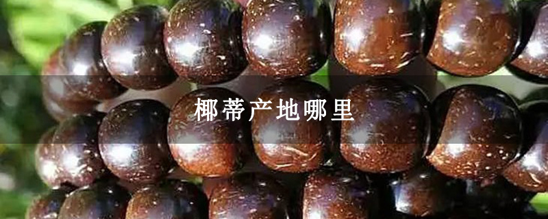 椰蒂产地哪里