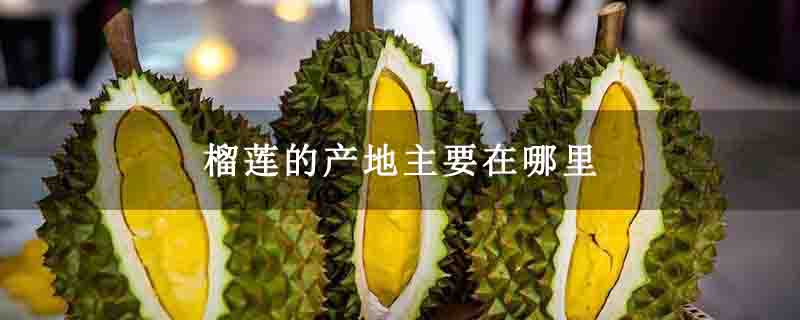 榴莲的产地主要在哪里