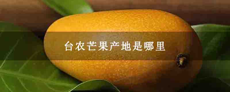 台农芒果产地是哪里