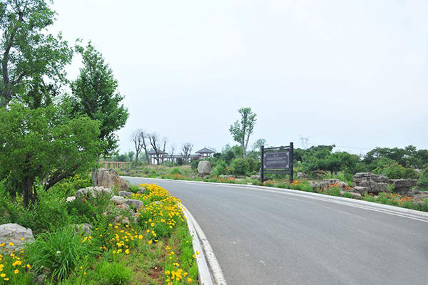 道路绿化苗木规格介绍 符合要求的苗子才有市场