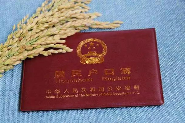 取消农业户口的关键一年，农民到哪里找出路？.jpg