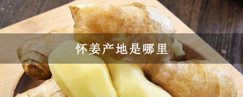 怀姜产地是哪里