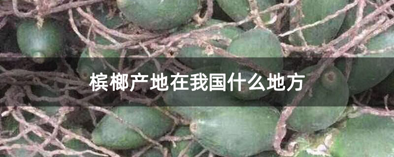 槟榔产地在我国什么地方