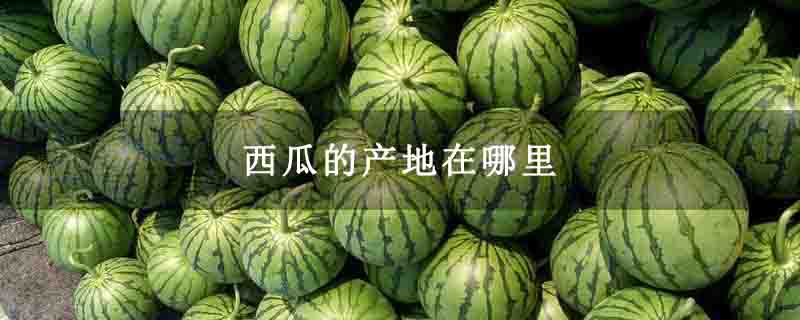 西瓜的产地在哪里