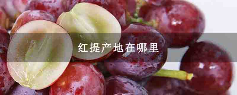 红提产地在哪里
