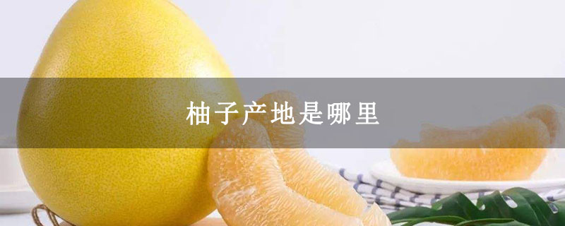 柚子产地是哪里