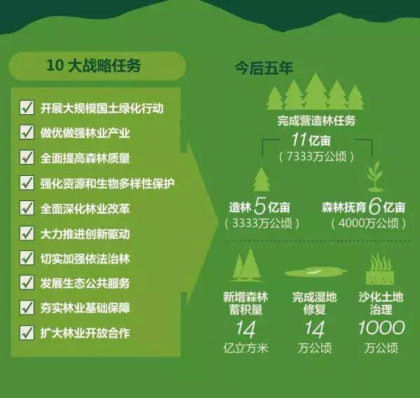 苗木生意4.jpg