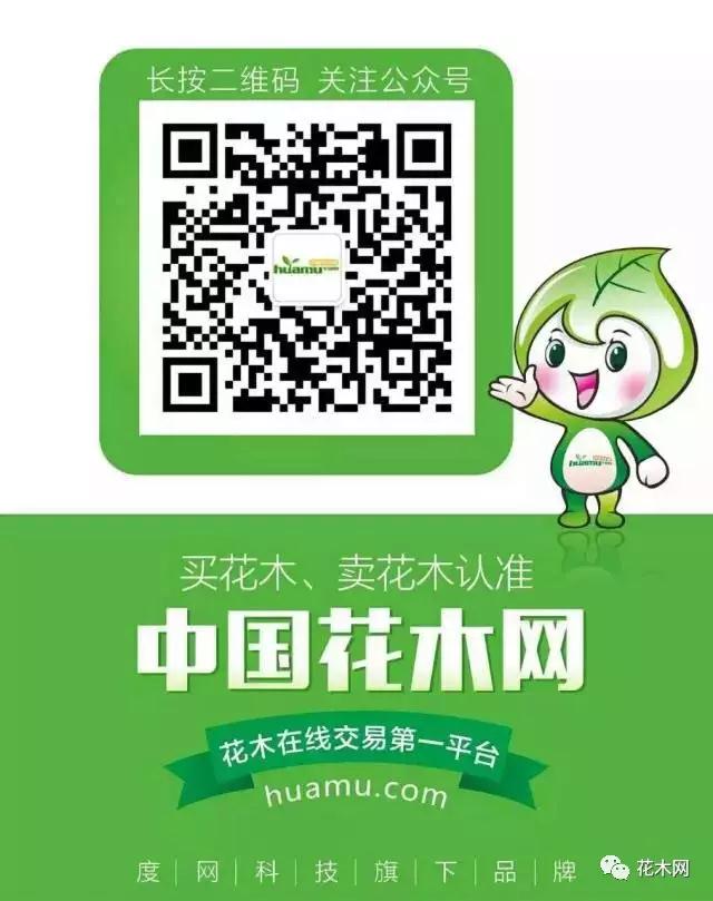 花木网微信二维码.jpg