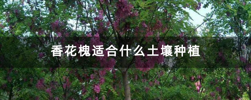 1633661687218132.jpg 1633661687218132.jpg