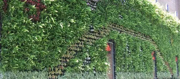 怎么节约苗木运费？苗木人都应该知道！