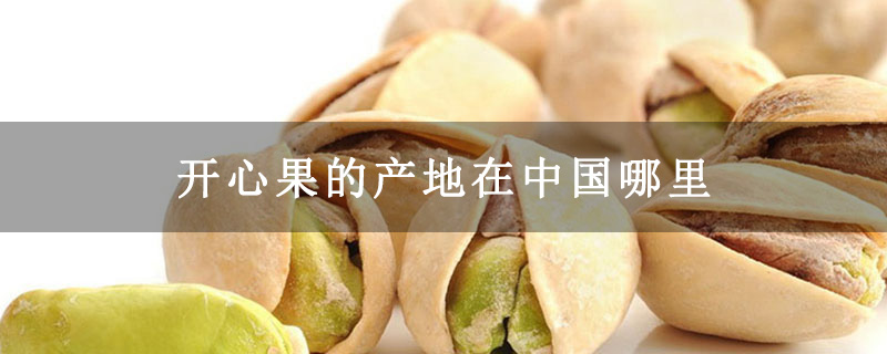 开心果的产地在中国哪里