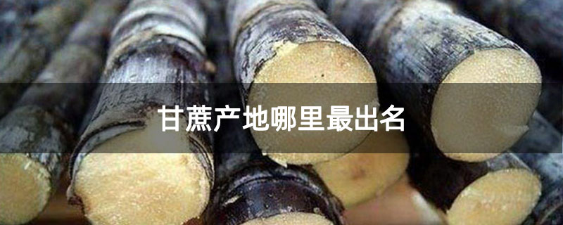 甘蔗产地哪里最出名