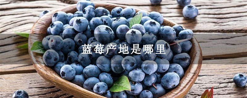 蓝莓产地是哪里