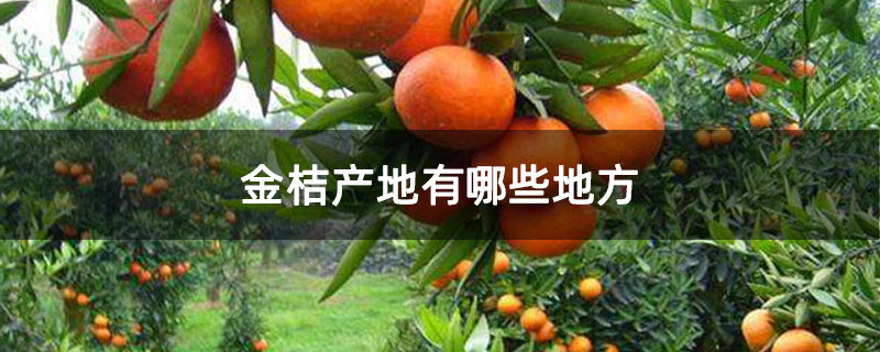 金桔产地有哪些地方