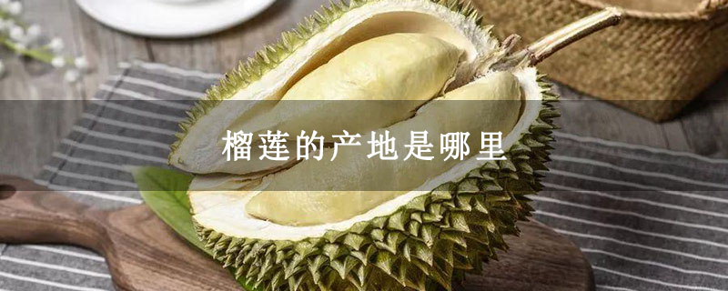 榴莲的产地是哪里