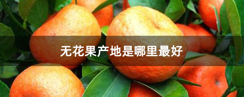 橘子产地主要在哪个省
