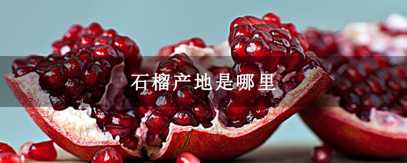 石榴产地是哪里