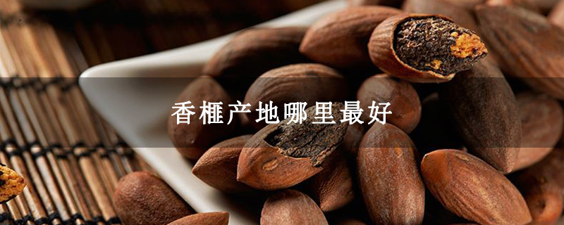 香榧产地哪里最好