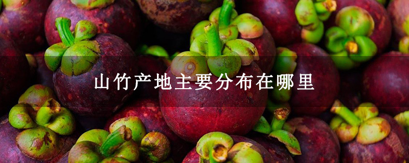 山竹产地主要分布在哪里