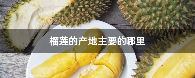 榴莲的产地主要的哪里
