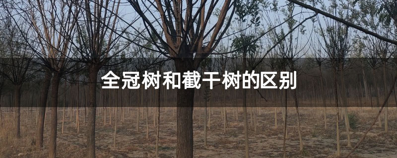 全冠树和截干树的区别