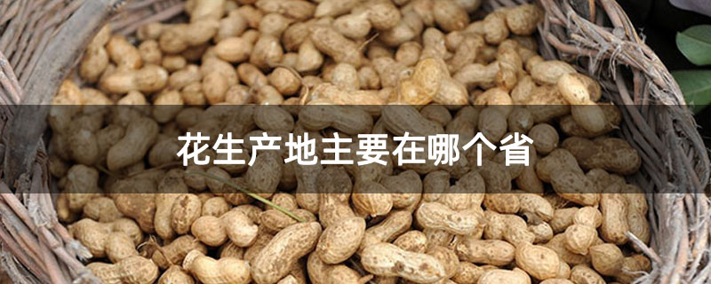 花生产地主要在哪个省